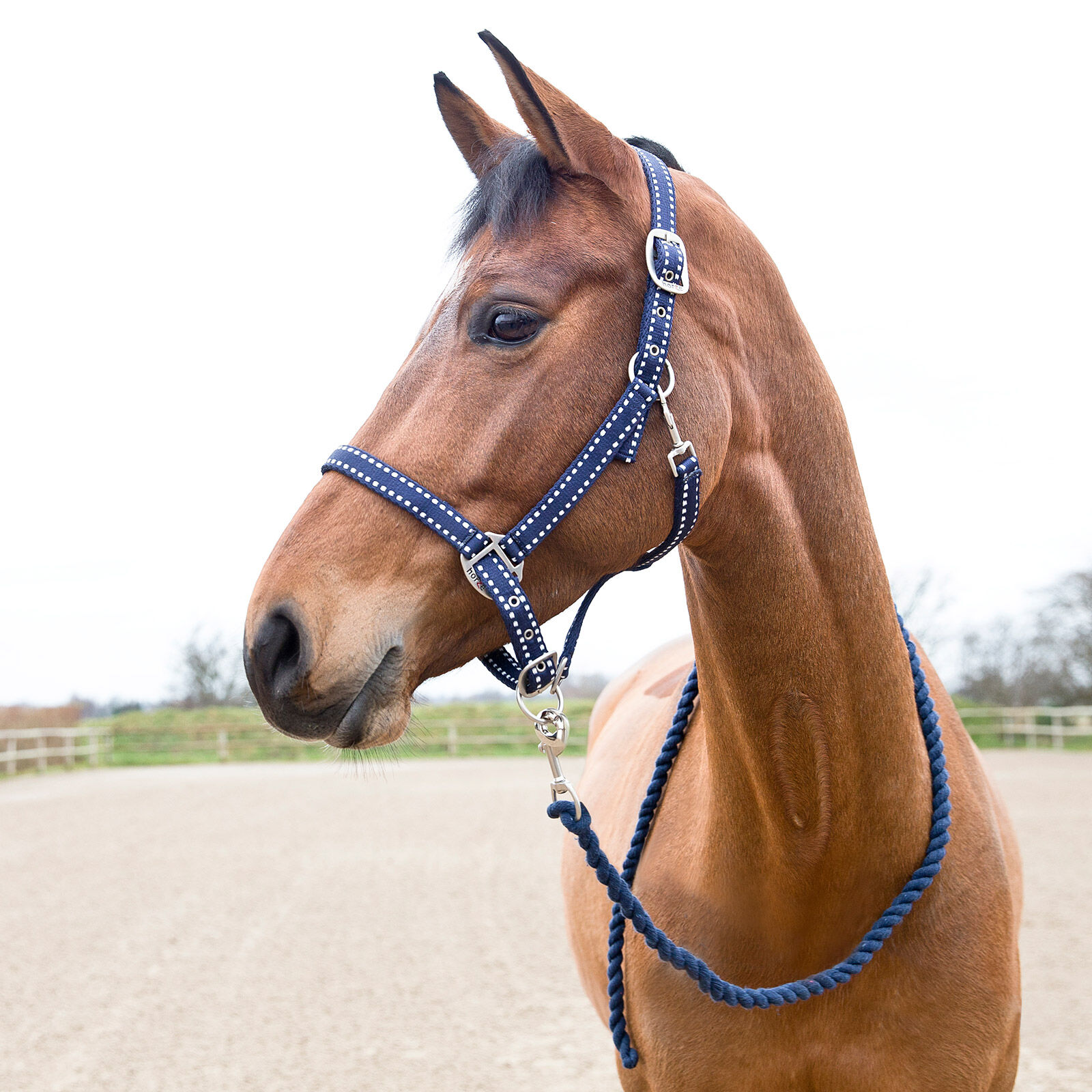 10025 HKM Headcollar with Rope 180 cm Hook Star 